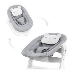 Hauck Alpha Bouncer 2in1