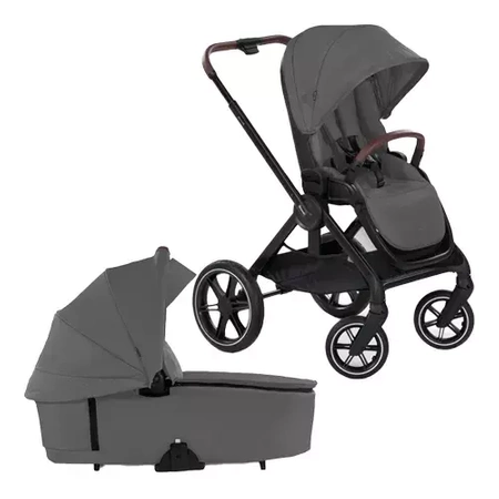 Hauck Walk N Care 2w1