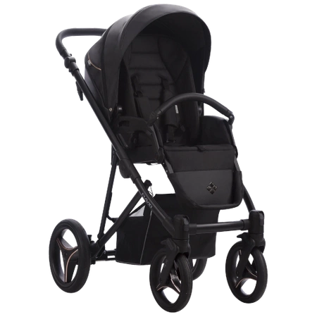 Bebetto Flavio Pro 2w1