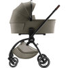 Urban Olive | LUX