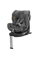 Gallant Grey
