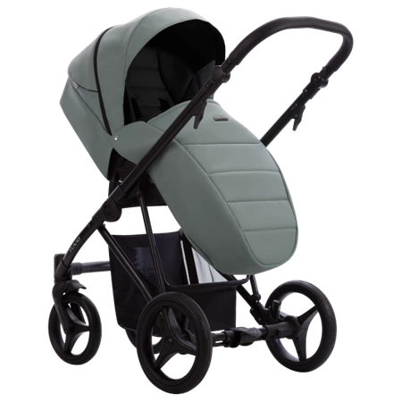 Bebetto Flavio Pro 2w1