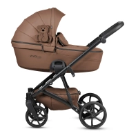 Limited Edition Teddy 110 Biscuit