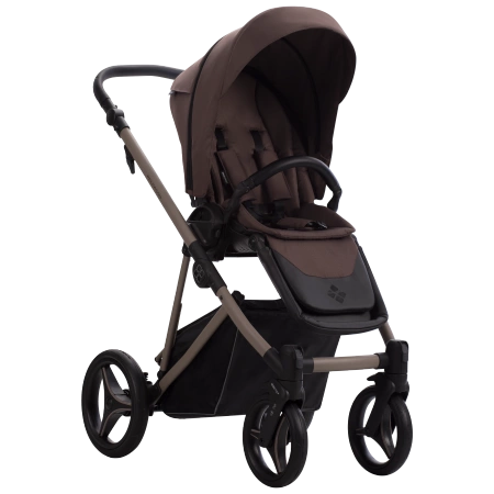 Bebetto Wózek Dziecięcy Pelpasso 2w1