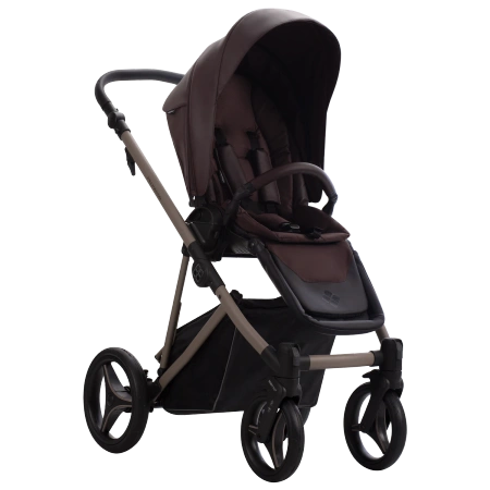 Bebetto Wózek Dziecięcy Pelpasso PRO 2w1