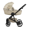 Limited Edition Teddy 111 Creamy