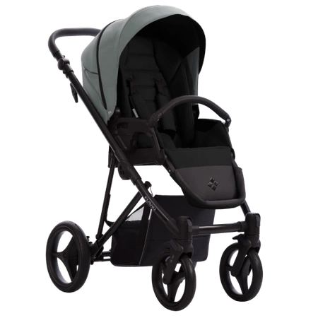 Bebetto Flavio Pro 2w1