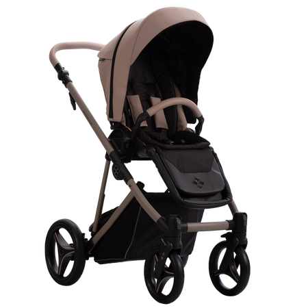 Bebetto Wózek Dziecięcy Pelpasso PRO 2w1