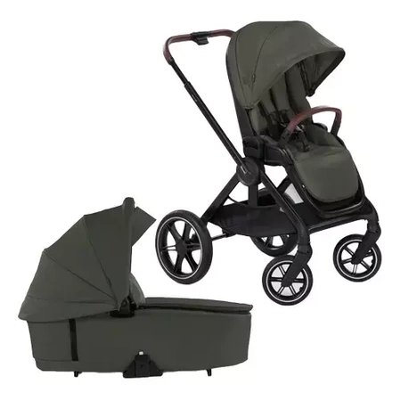 Hauck Walk N Care 2w1