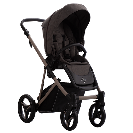 Bebetto Wózek Dziecięcy Pelpasso 2w1