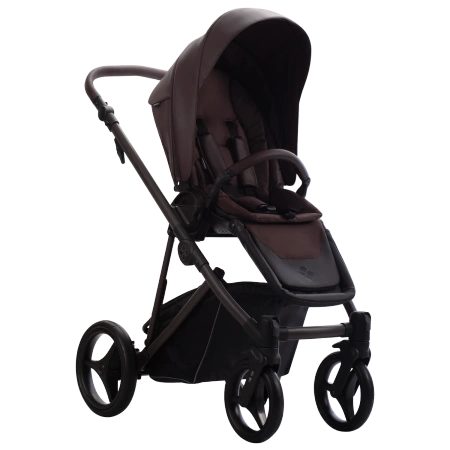 Bebetto Wózek Dziecięcy Pelpasso PRO 2w1