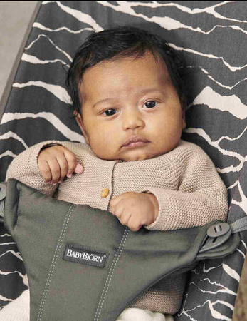 BABYBJORN - leżaczek Bliss Cotton