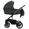 Si Pro 05